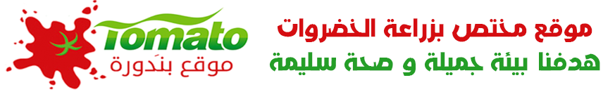 موقع بنَدورة