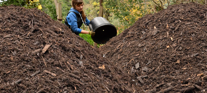 الكمبوست Compost