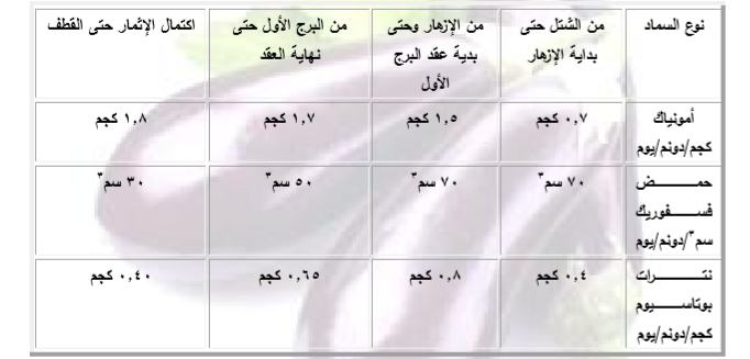 تسميد الباذنجان
