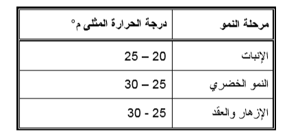 الاحتياجات الحرارية للخيار