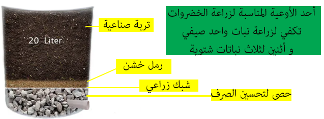 زراعة البلكونة بالخضار
