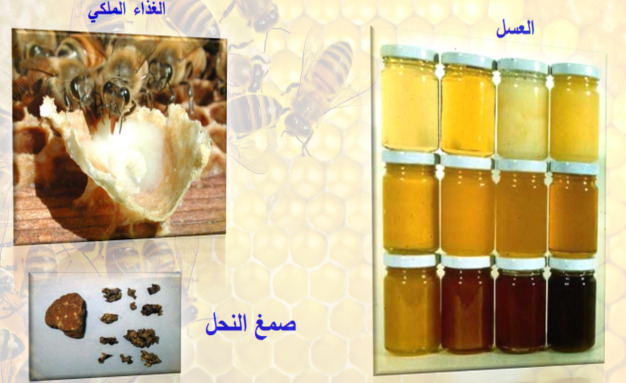 منتجات حشرات نافعة