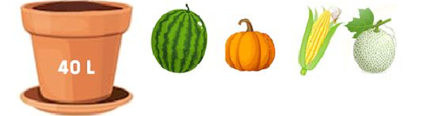 زراعة حضرية