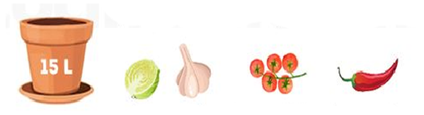 زراعة الأصص