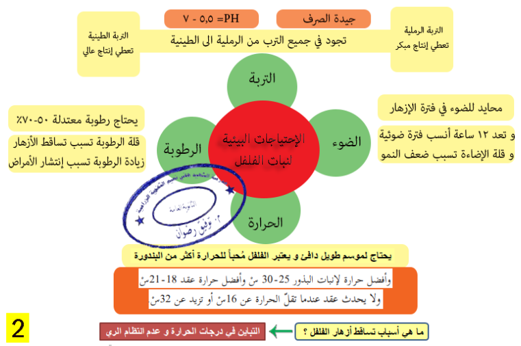 الاحتياجات البيئية للفلفل