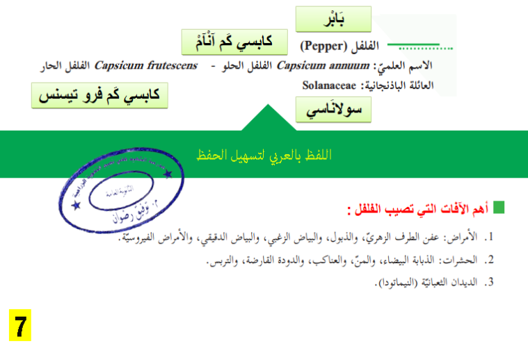 أمراص وآفات الفلفل